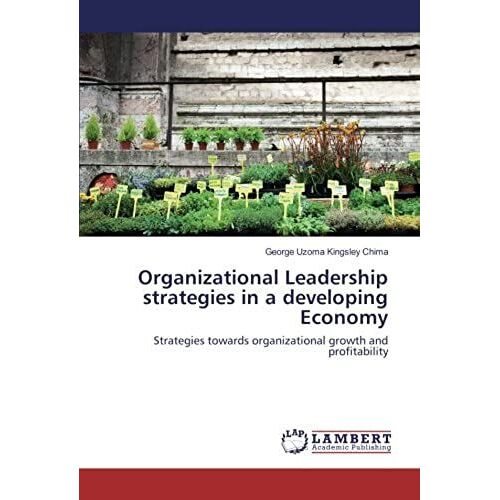 Organizational Leadership Strategies In A Developing Economy