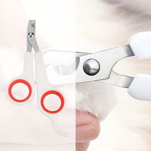 Xm Ciseaux Coupe-Ongles En Acier Inoxydable Pour Animaux Domestiques Tondeuse À Ongles Griffe De Chien Et De Chat Tondeuse De Toilettage