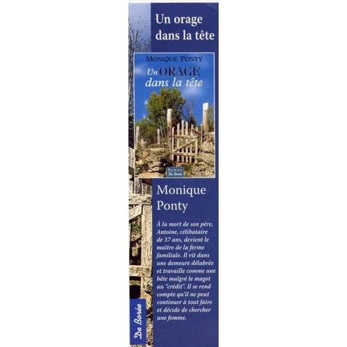 Marque Page  N° 0 : Un Orage Dans La Tête De Monique Ponty