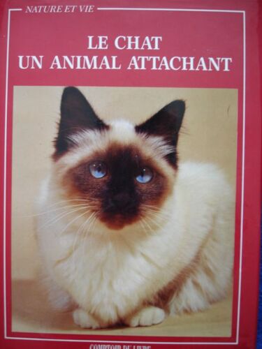Le Chat : Un Animal Attachant