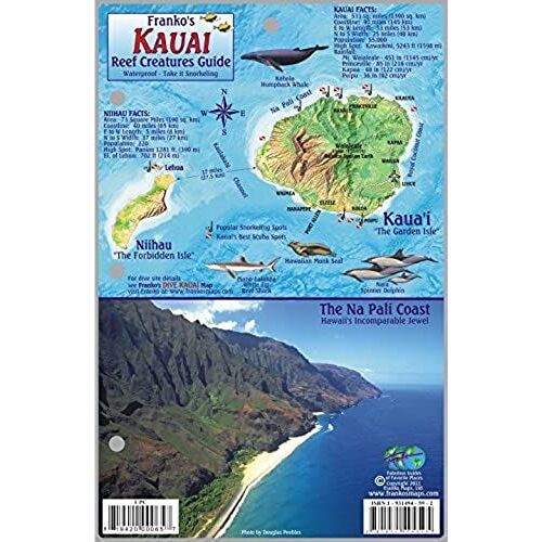 Kauai Hawaii Map & Coral Reef Creatures Guide Franko Maps Laminated Fish Card
