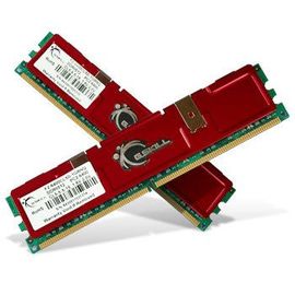 G.Skill NQ Series - DDR2 - kit - 2 Go: 2 x 1 Go - DIMM 240 broches - 800 MHz / PC2-6400 - CL5 - 1.8 - 2.0 V - mémoire sans tampon - non ECC