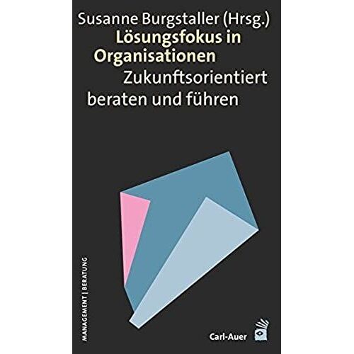 Lösungsfokus In Organisationen