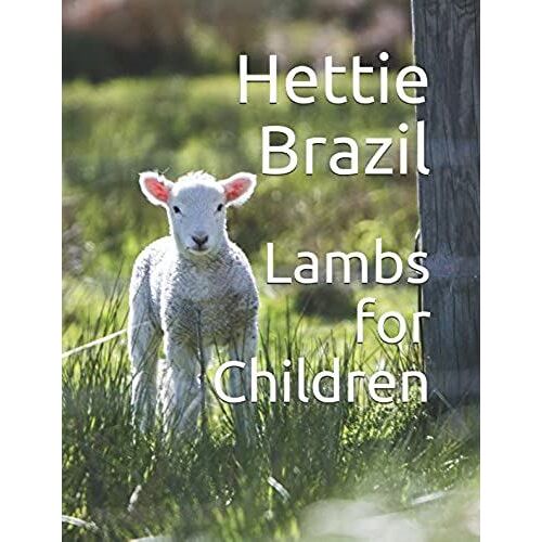 Lambs For Children