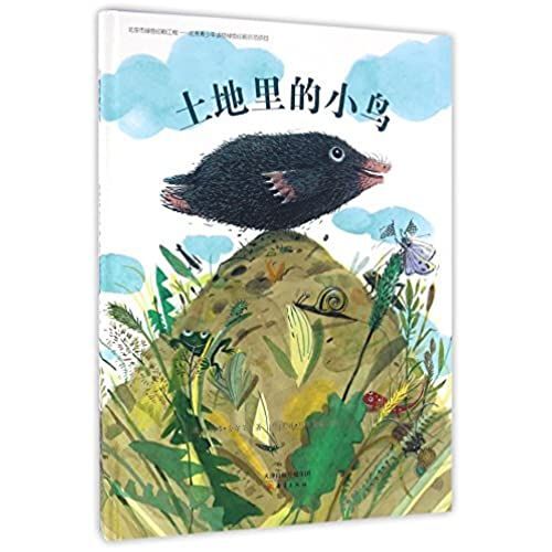 Der Kleine Erdvogel: Vierfarbiges Bilderbuch (Chinese Edition)