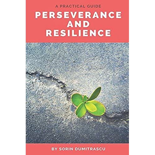 Perseverance And Resilience: A Practical Guide