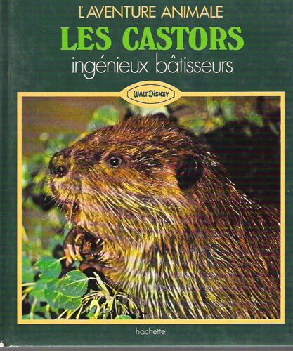 Les Castors - Ingénieux Bâtisseurs