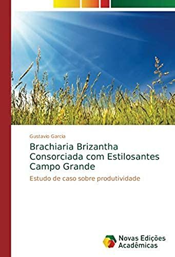 Brachiaria Brizantha Consorciada Com Estilosantes Campo Grande