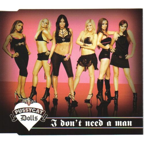 I Don't Need A Man