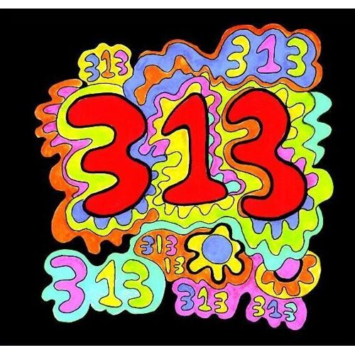 313