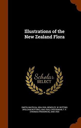 Illustrations Of The New Zealand Flora