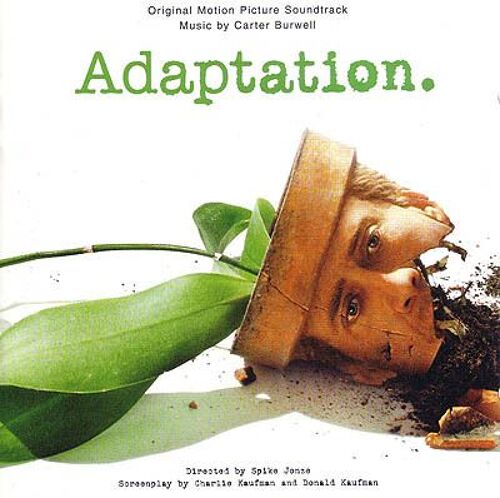 Adaptation