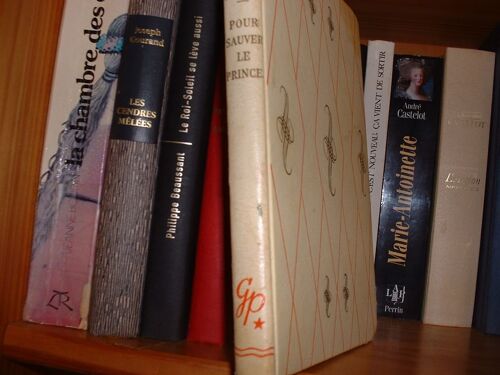 Pour Sauver Le Prince