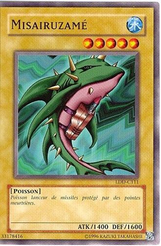Misairuzamé Ldd-C111