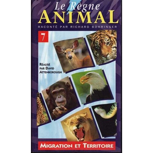 Le Règne Animal N° 7 : Migration Et Territoire