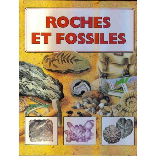 Roches Et Fossiles