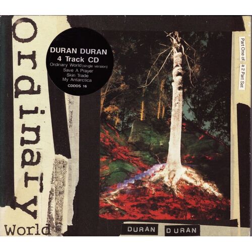 Ordinary World