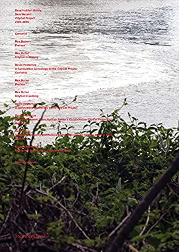 Dave Hullfish Bailey And Sam Watson: Citycat Project, 2006-2016