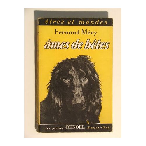Ames De Bêtes