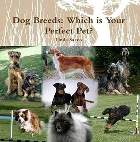 Dog Breeds: Which Is Your Perfect Pet?