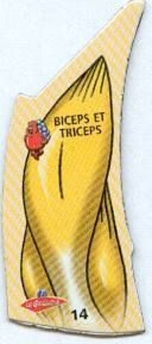 Magnet - Il Était Une Fois La Vie - Corps Humain - 14 - Biceps Et Triceps
