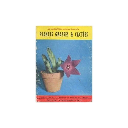 Plantes Grasses Et Cactées