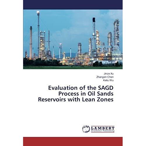 Evaluation Of The Sagd Process In Oil Sands Reservoirs With Lean Zones