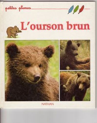 L'ourson Brun