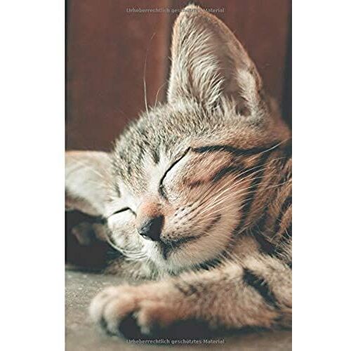 Tagebuch - Chronisches Erschoepfungssyndrom (Cfs): Liniertes Notizbuch Mit Datum Und Muedigkeitsskala Bei Chronischer Muedigkeit Und Erschoepfung * 120 Seiten, Motiv: Katze