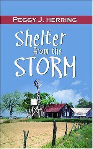 Shelter From The Storm