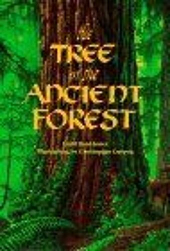 The Tree In The Ancient Forest