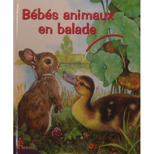 Bebes Animaux En Balade