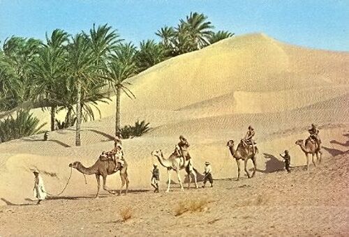 Tunisie;" Caravane Du Sahara" 1975