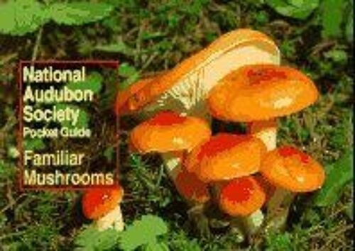 National Audubon Society Pocket Guide To Familiar Mushrooms National Audubon Society Pocket Guide