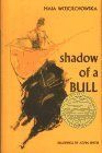 Shadow Of A Bull