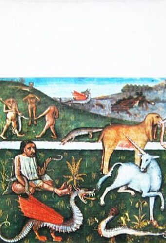 Contes Du Roi-Singe (Les)