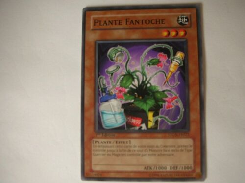 Plante Fantoche En Fr 1ere Ed Ston-Fr022