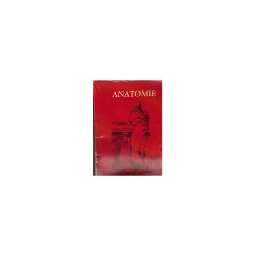 Anatomie