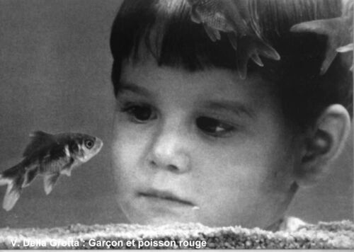 V. Della Grotta. - Boy And Goldfish