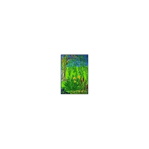 Tarot De La Metaphore - 22 Cartes + Livre
