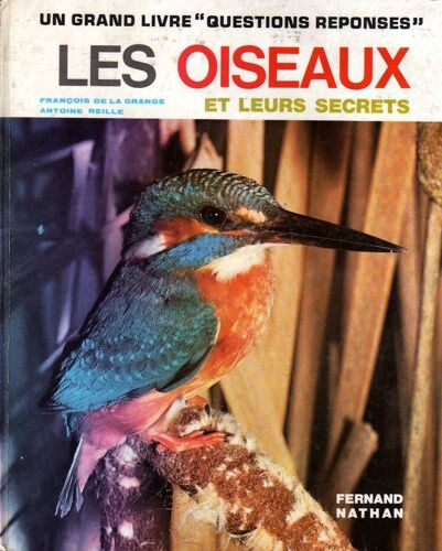 Les Oiseaux Et Leurs Secrets