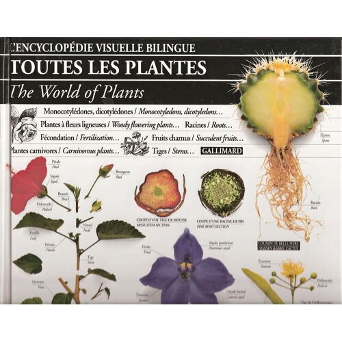 Toutes Les Plantes