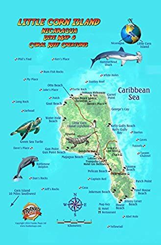Little Corn Island Nicaragua Dive Map & Coral Reef Creatures Guide Franko Maps Laminated Fish Card