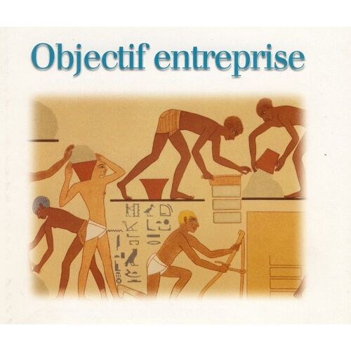 Objectif Entreprise - Quel Statut Juridique, Quel Statut Fiscal, Quelle Protection Sociale Choisir ?