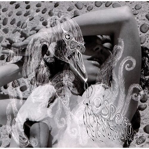 Vespertine - Double Lp Heavy Vinyl