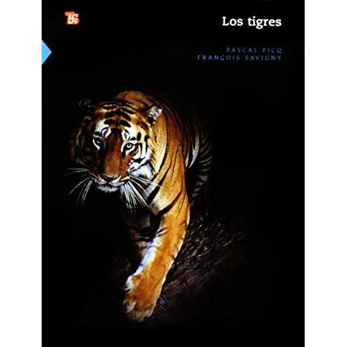 Los Tigres (Ciencia Y Tecnologia) (Spanish Edition)