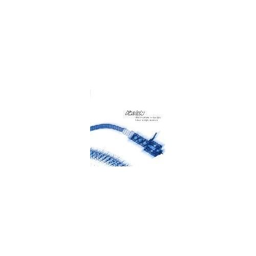 Future In Light - Remixed - European Import