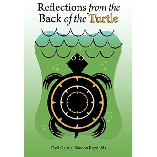 Reflections From The Back Of The Turtle