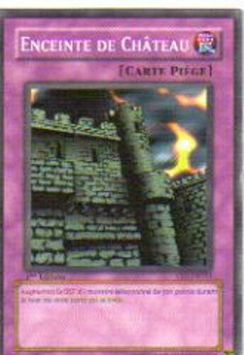 Enceinte De Chateau - Carte Piege - Ysd Fr033