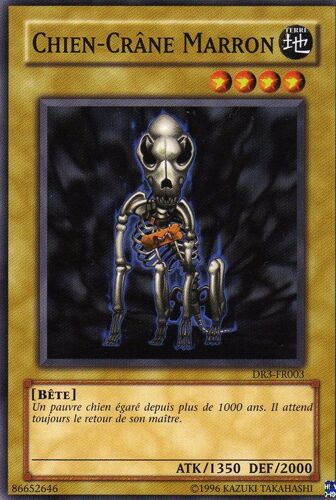 Yu-Gi-Oh! - Sombre Revelation 3 - Chien Crane Marron - Francaise - Dr3-Fr003